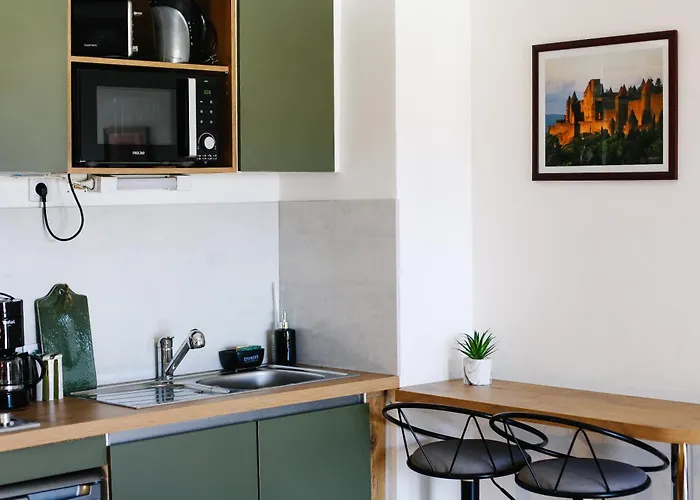 Διαμέρισμα Avec Parking Vue Sur La Cite De Καρκασόν